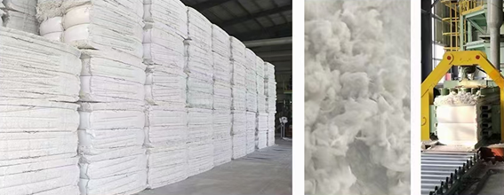 麻豆APP在线观看