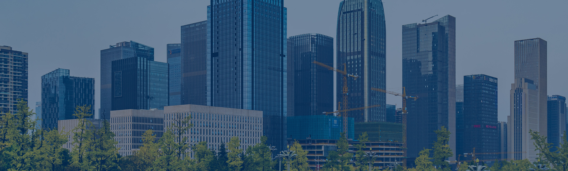 麻豆APP在线观看施工